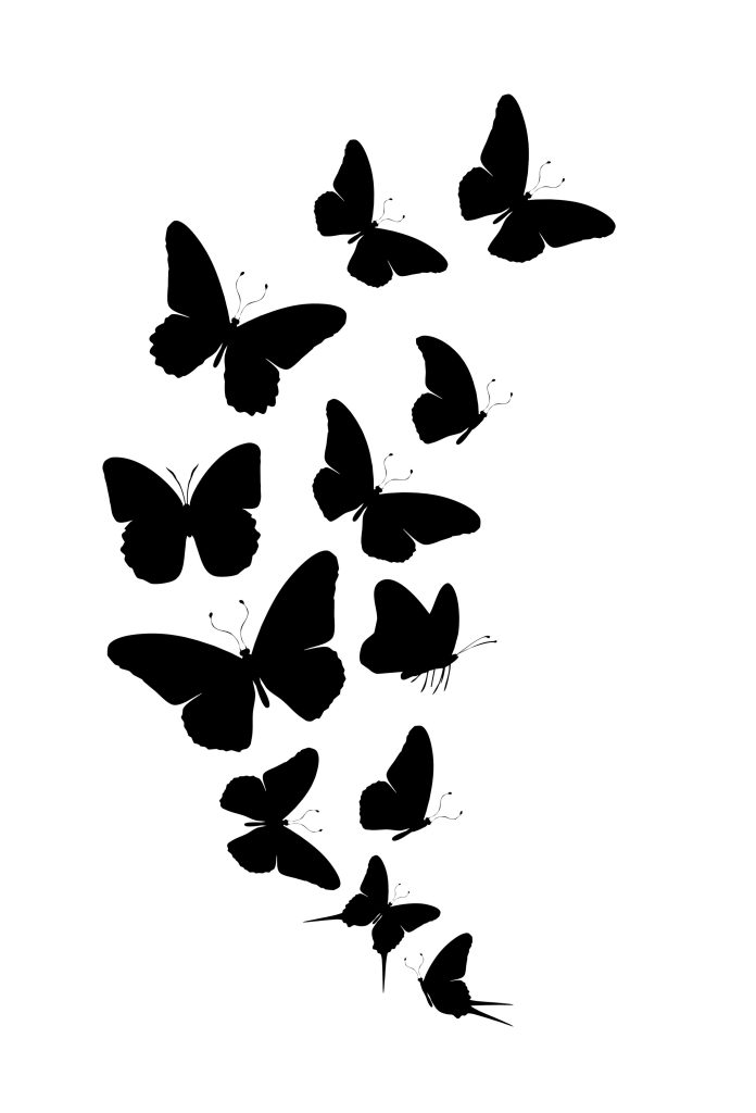 Flock of silhouette black butterflies on white background